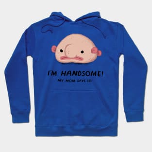 i'm handsome, my mom says so Hoodie